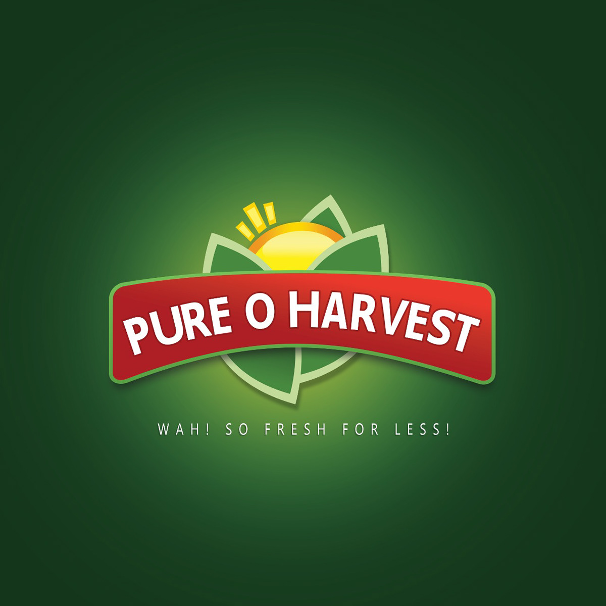 honey Packaging design logo Pure O Harvest