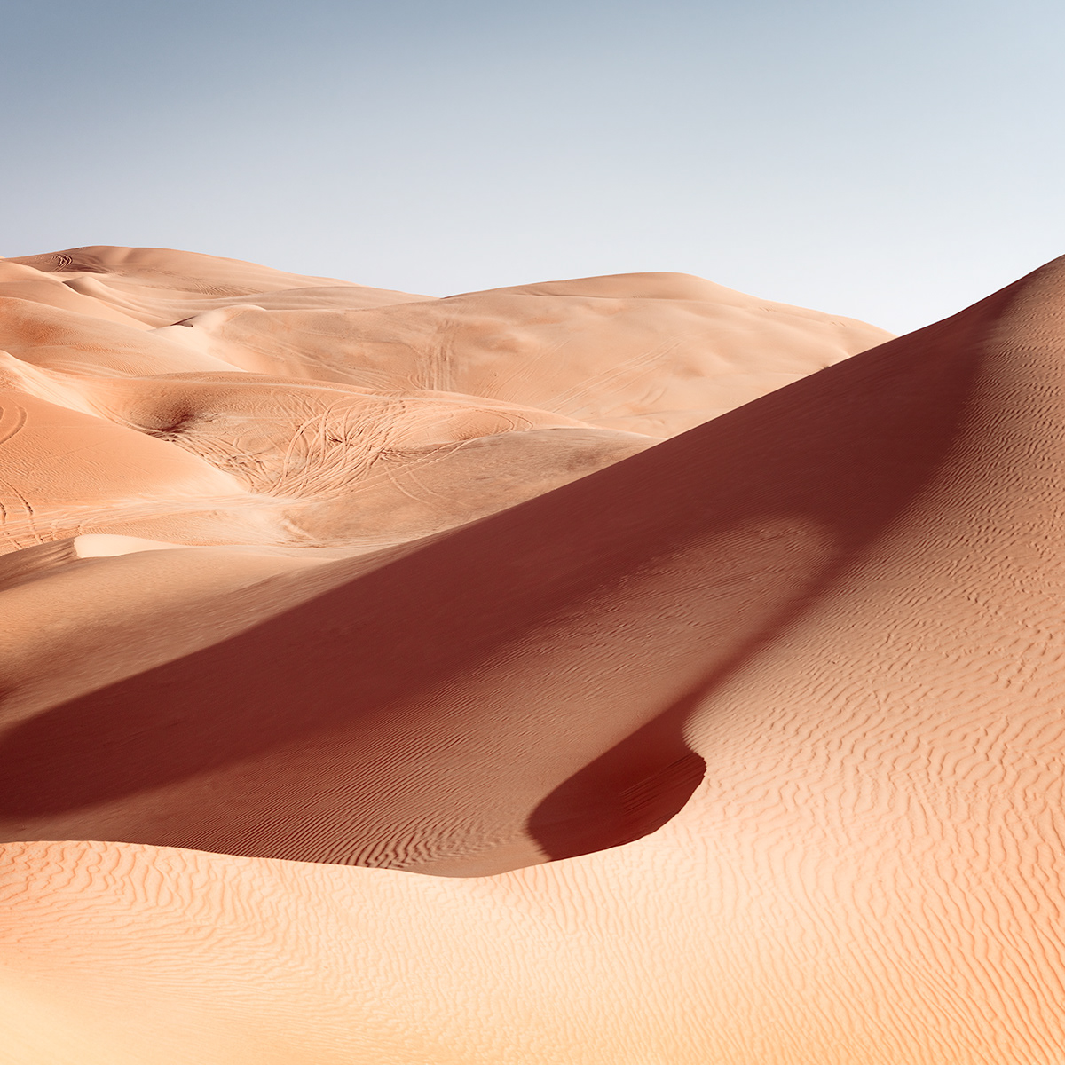 desert dunes Lanscapes liwa Nature Photography  sands Travel Deserts Editing Photos