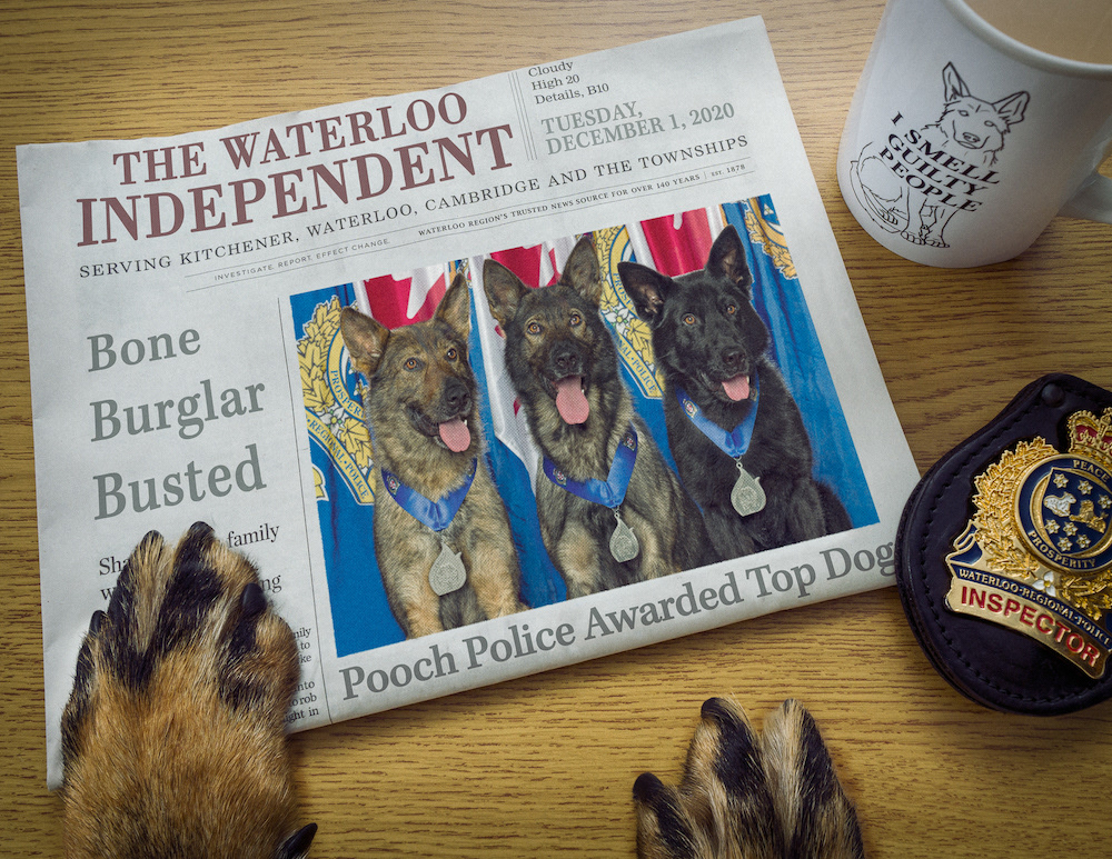 animal calendar charity dog funny German Shephard Photography  photoshop police puppy