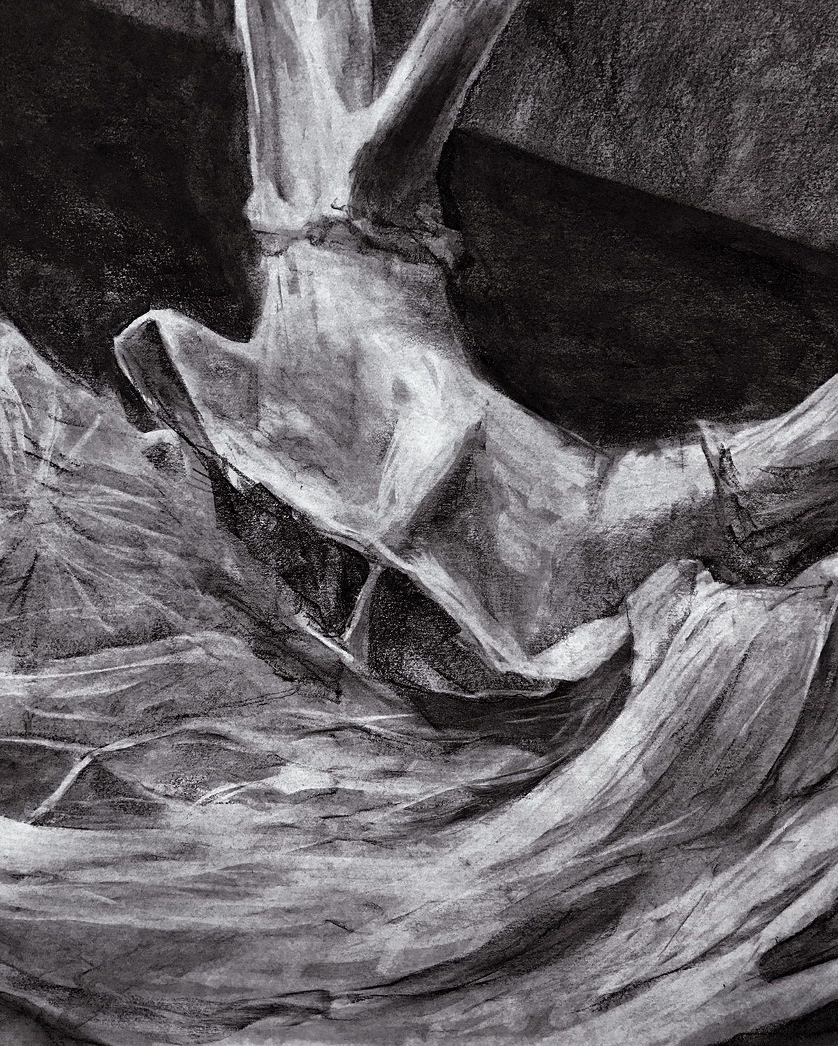 charcoal antler still life Drawing Marathon bone