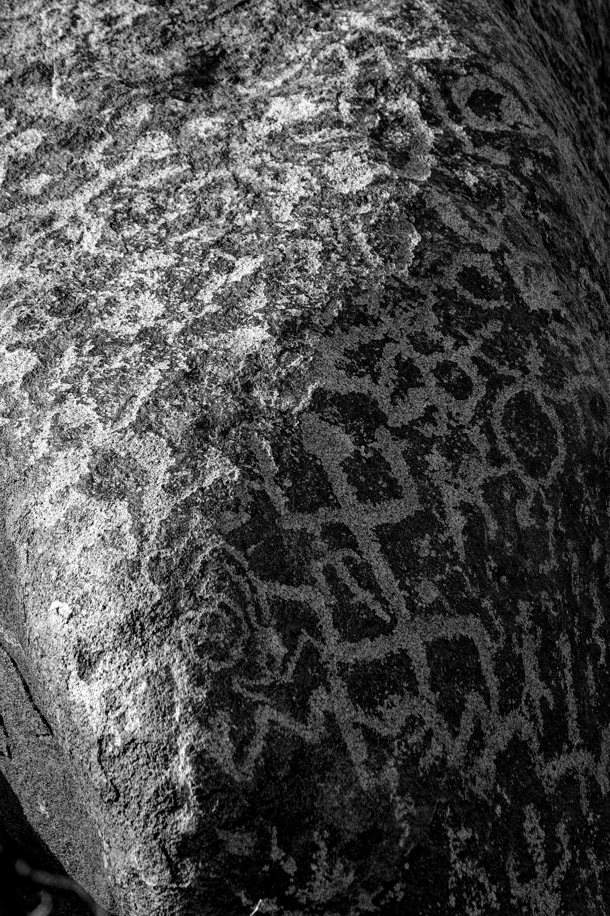 Petroglyphs petroglyph arizona fujifilm Nature black and white monochrome