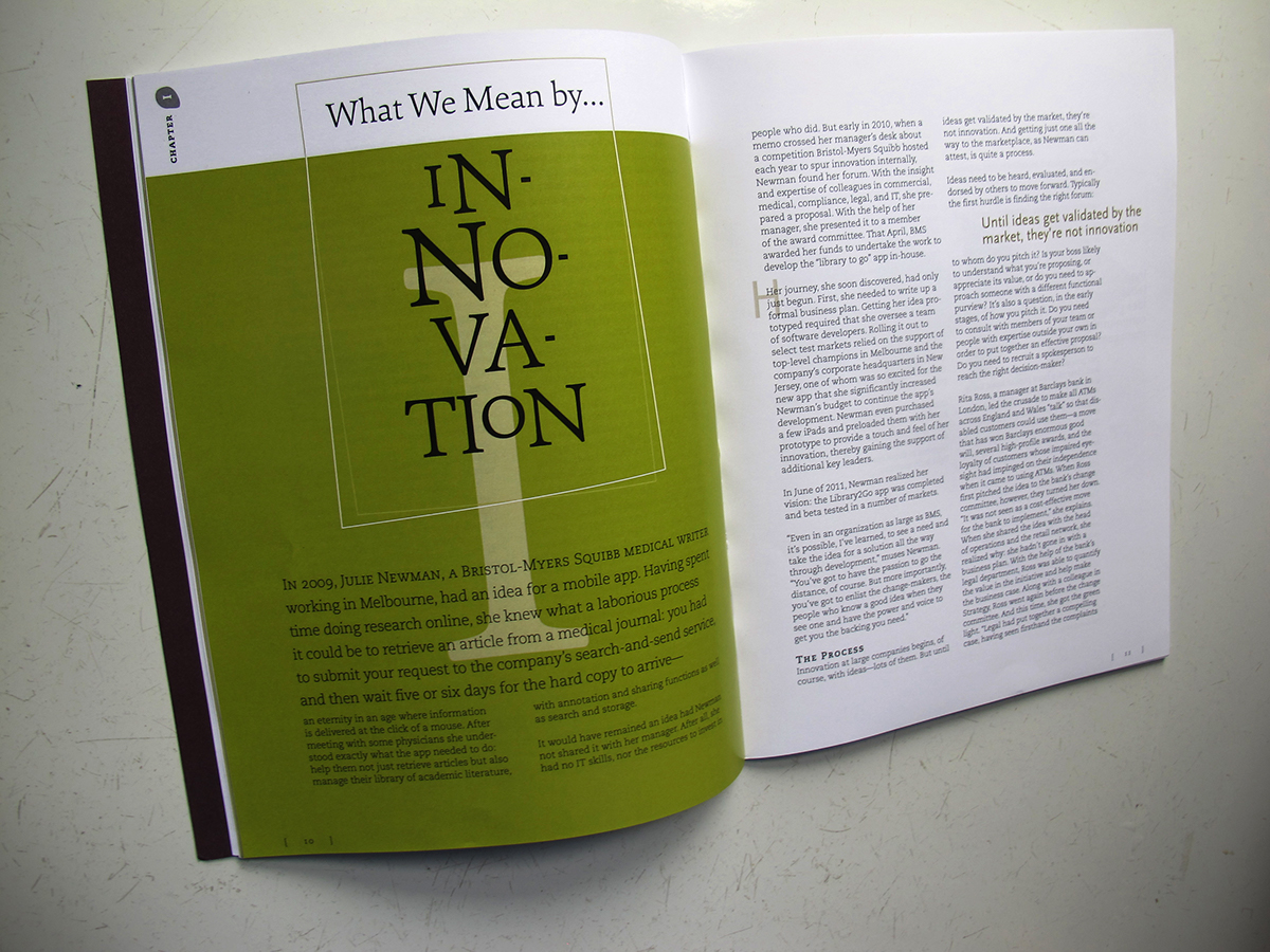 publication booklet design Corporate Brochure non profit organization Not for profit design system brand extension brochure