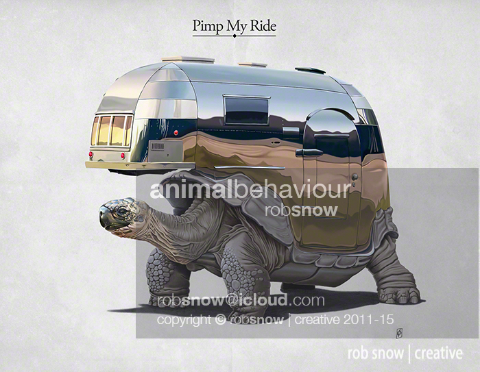 tortoise airstream pimp Vehicle mammal illustrations draawings pencil digital Nature rob snow