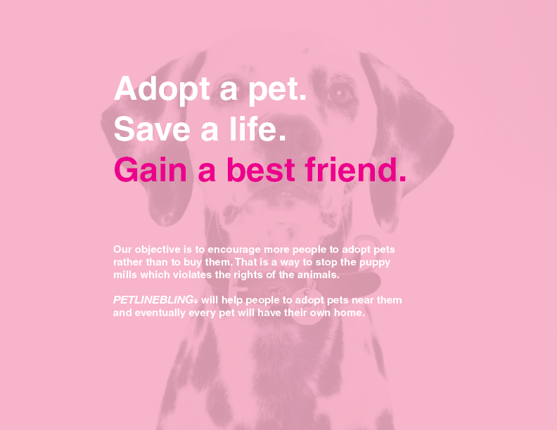 Pet Adoption Campaign