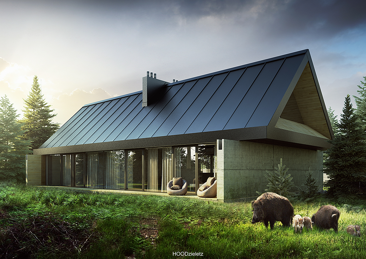 arch viz Render 3D house housing visualization photoshop