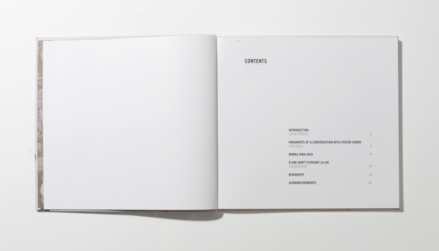 Steven Cohen art book wibalin Layout flex cover publishing   stevenson