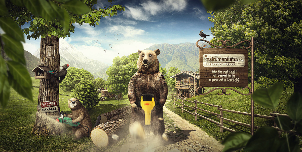 Adobe Portfolio animals bear beaver Nature woodpecker tools fairytale summer Landscape