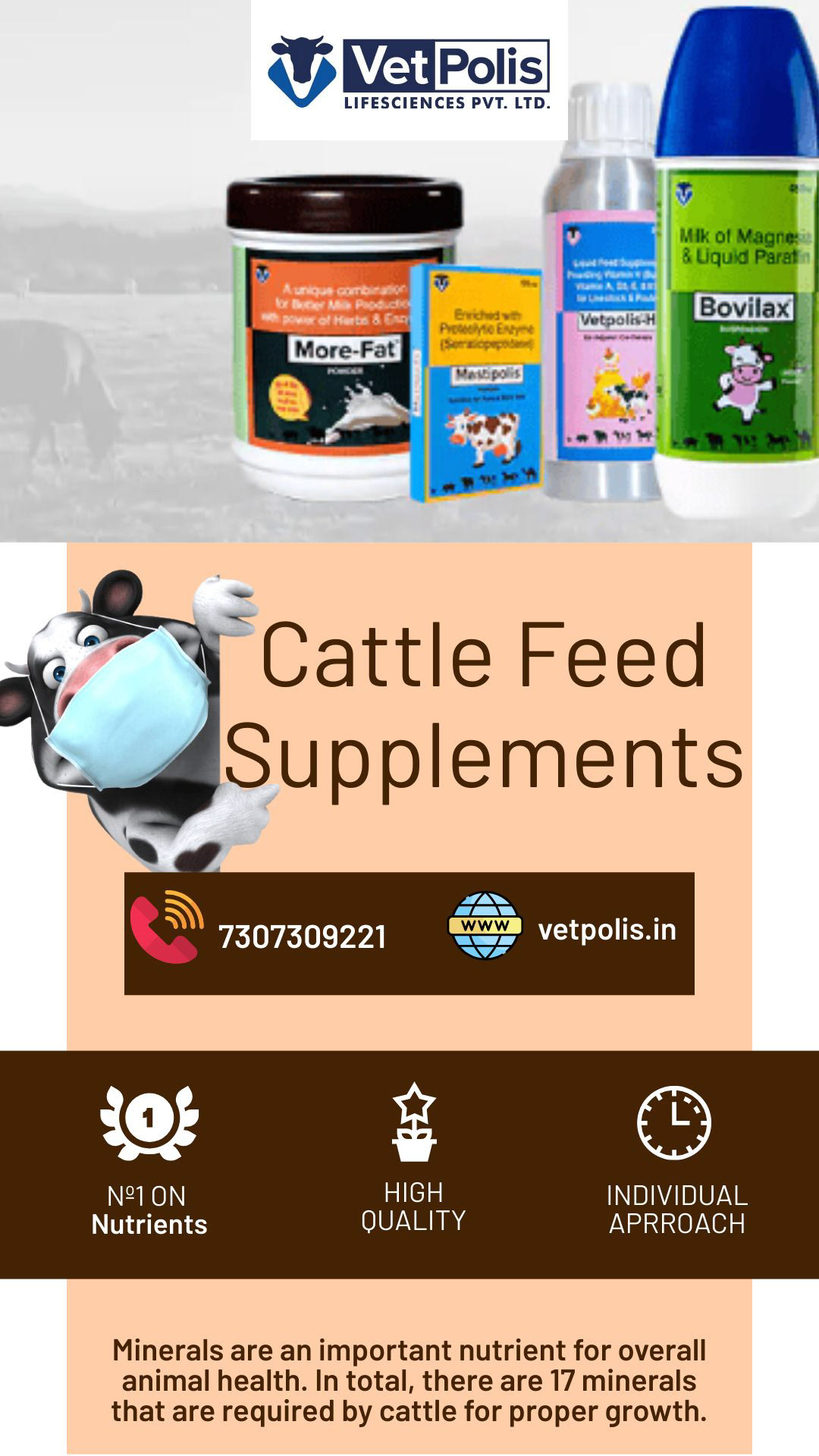 cattle feed veterinary cattle feed supplements