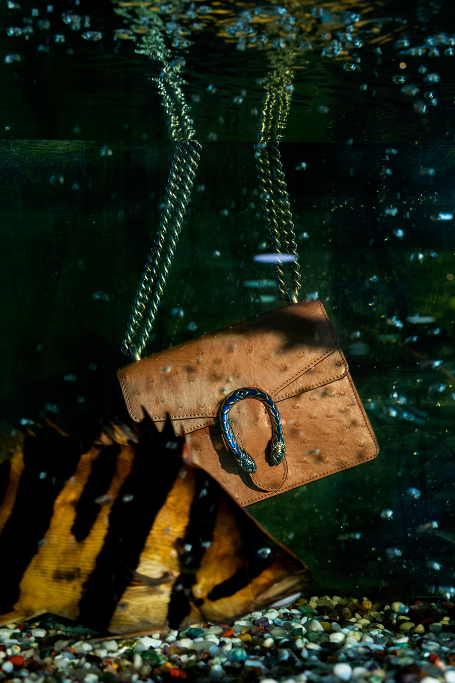 bags nature morte Photography  still life still life photography underwater