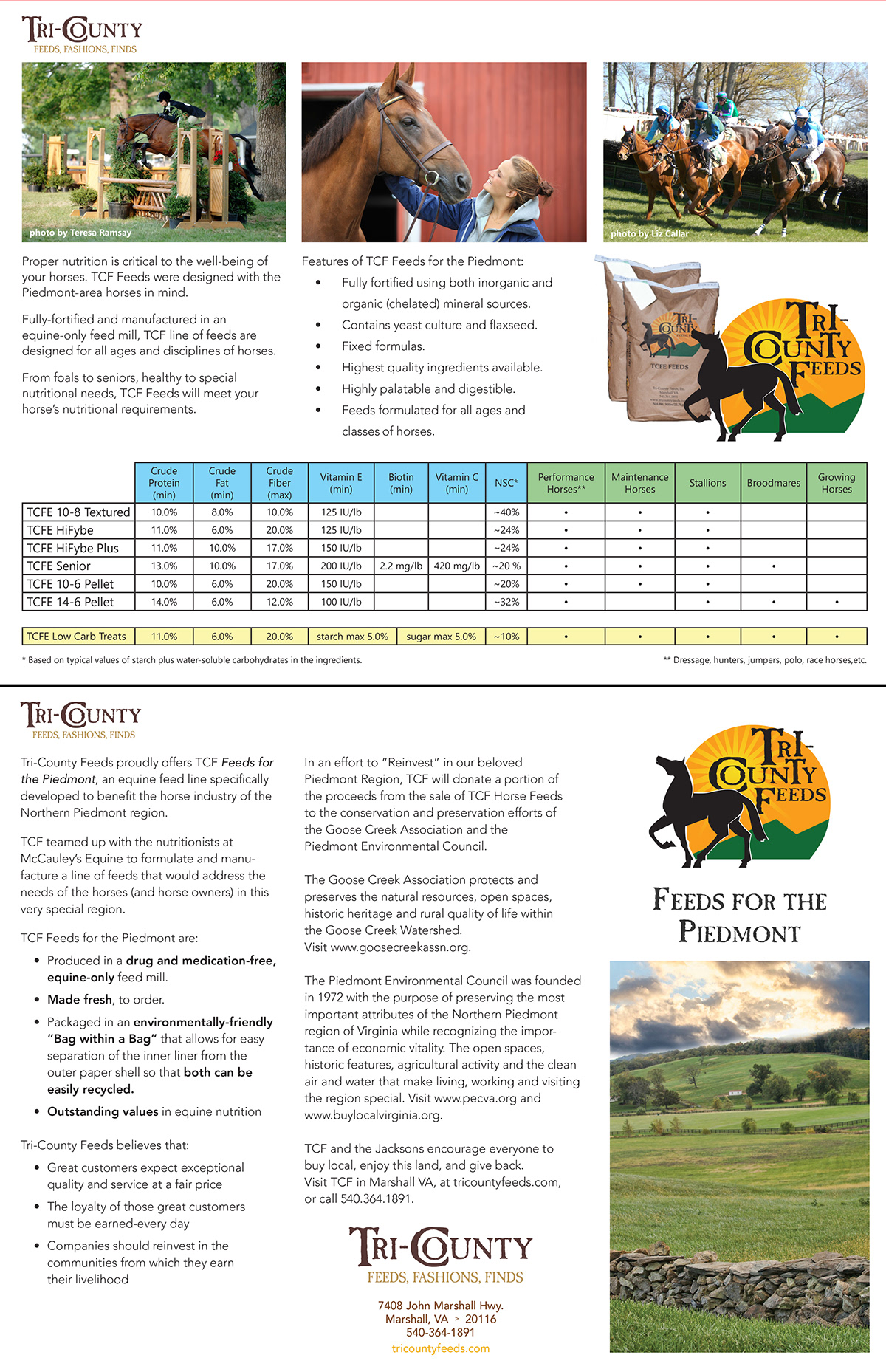 Collateral COUPON handout marketing   equestrian