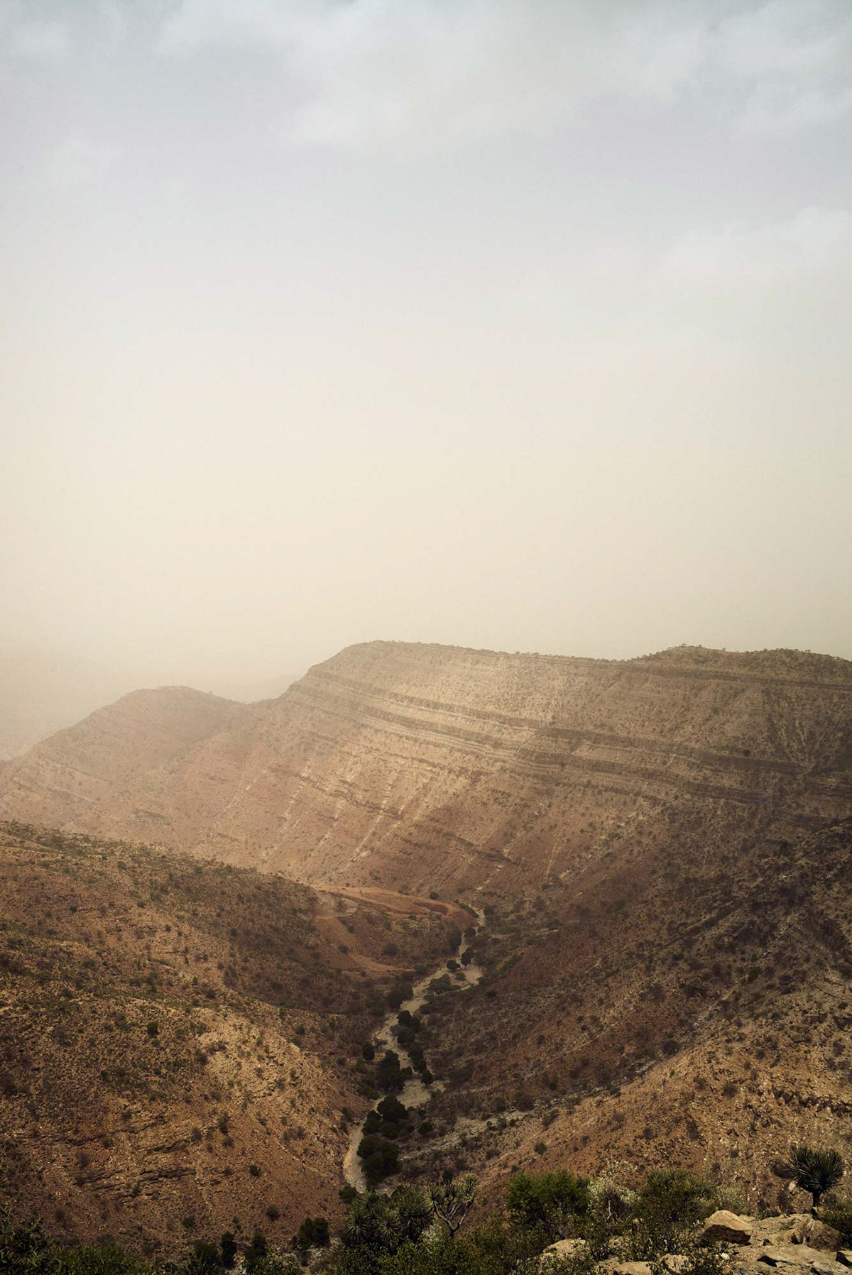desert ethiopia Landscape portrait Travel RoadTrip trip