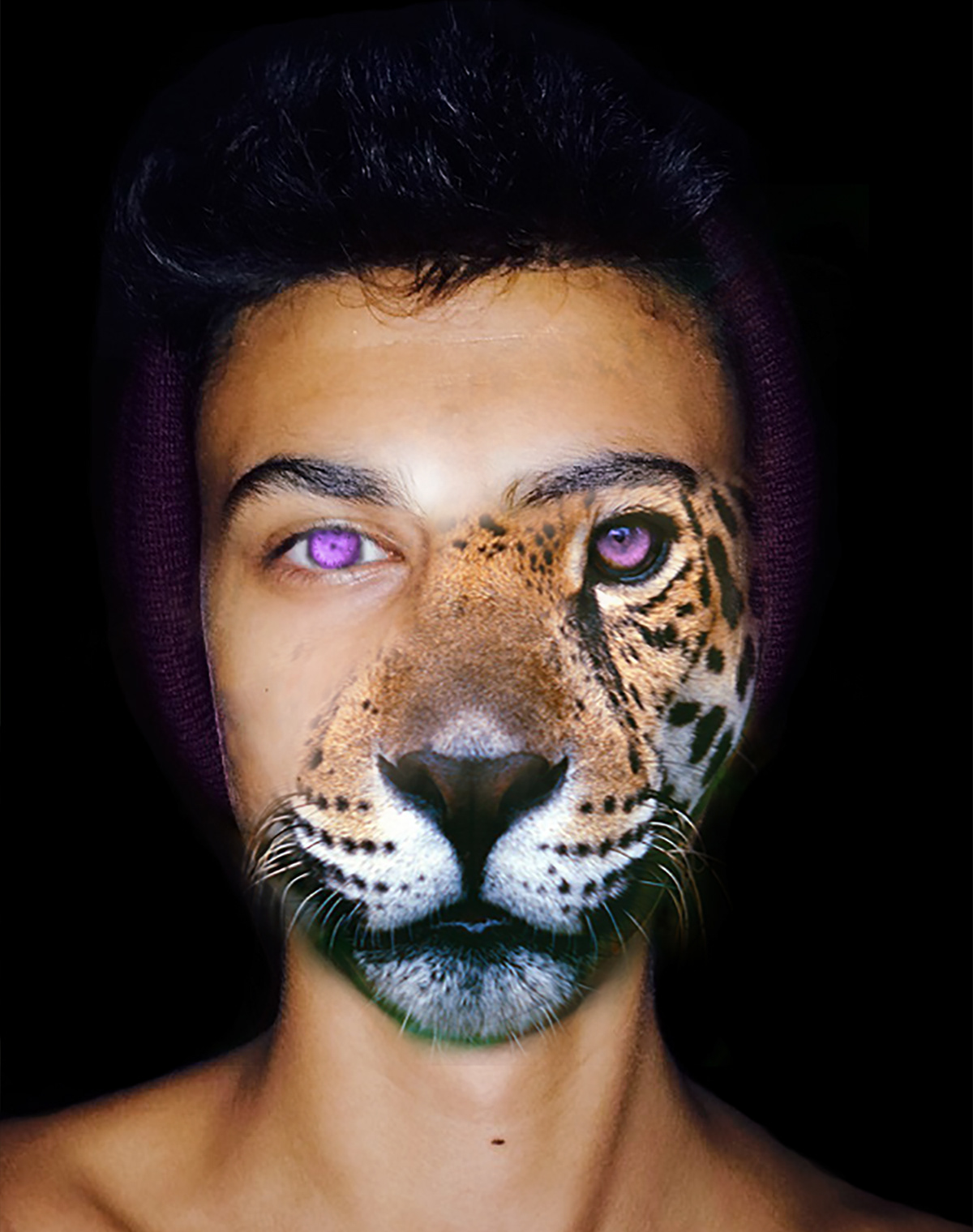 half human half tiger