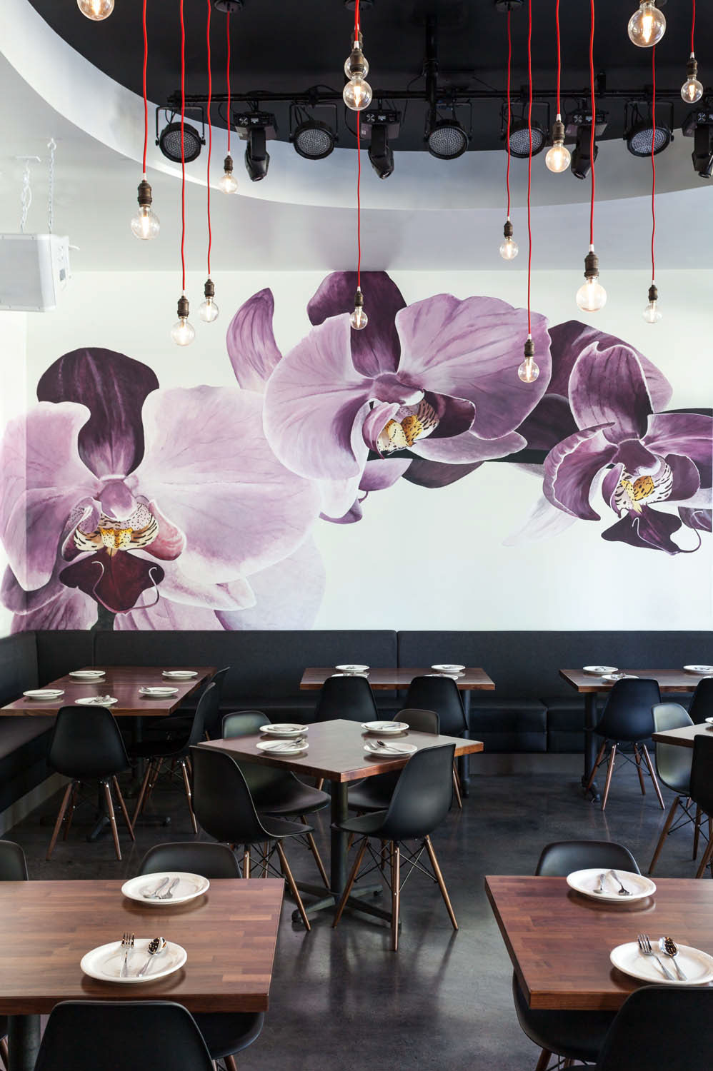 restaurant Thai Thailand contemporary modern distilled orchid flower pendants lighting EAMES tom dixon