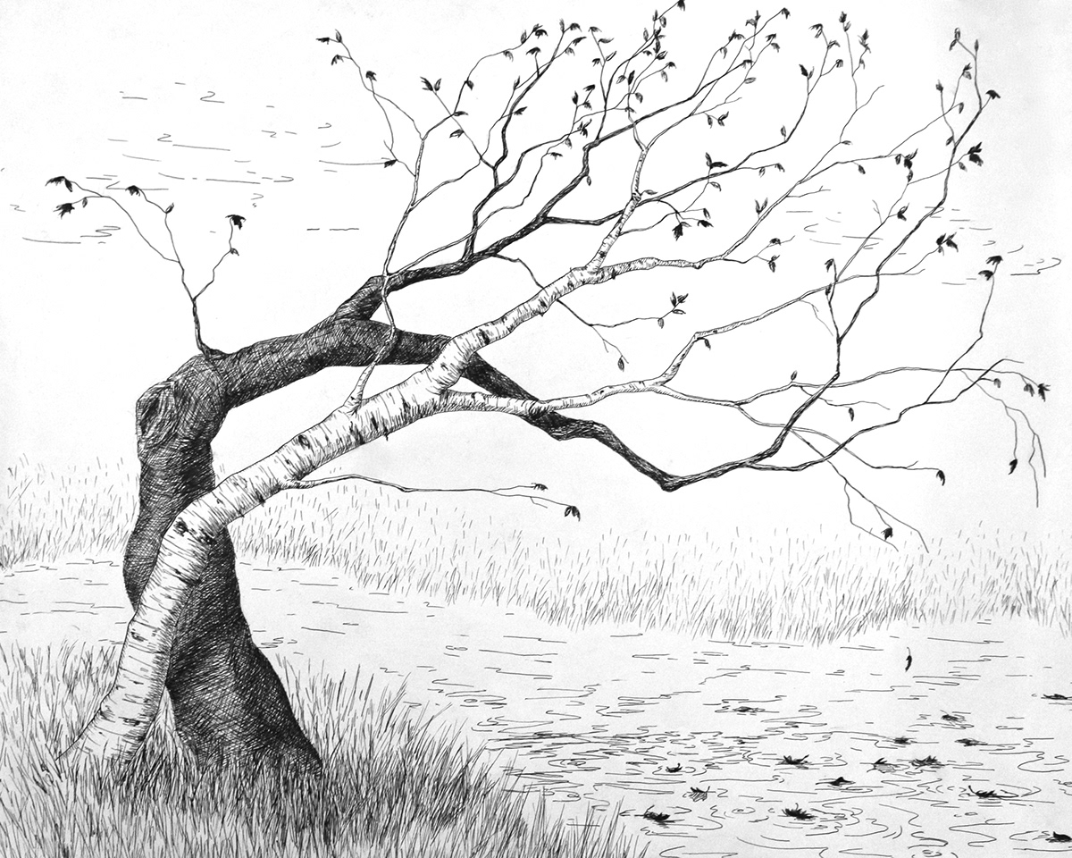 birch trees Lovers dancing kissing Nature Pen & Ink