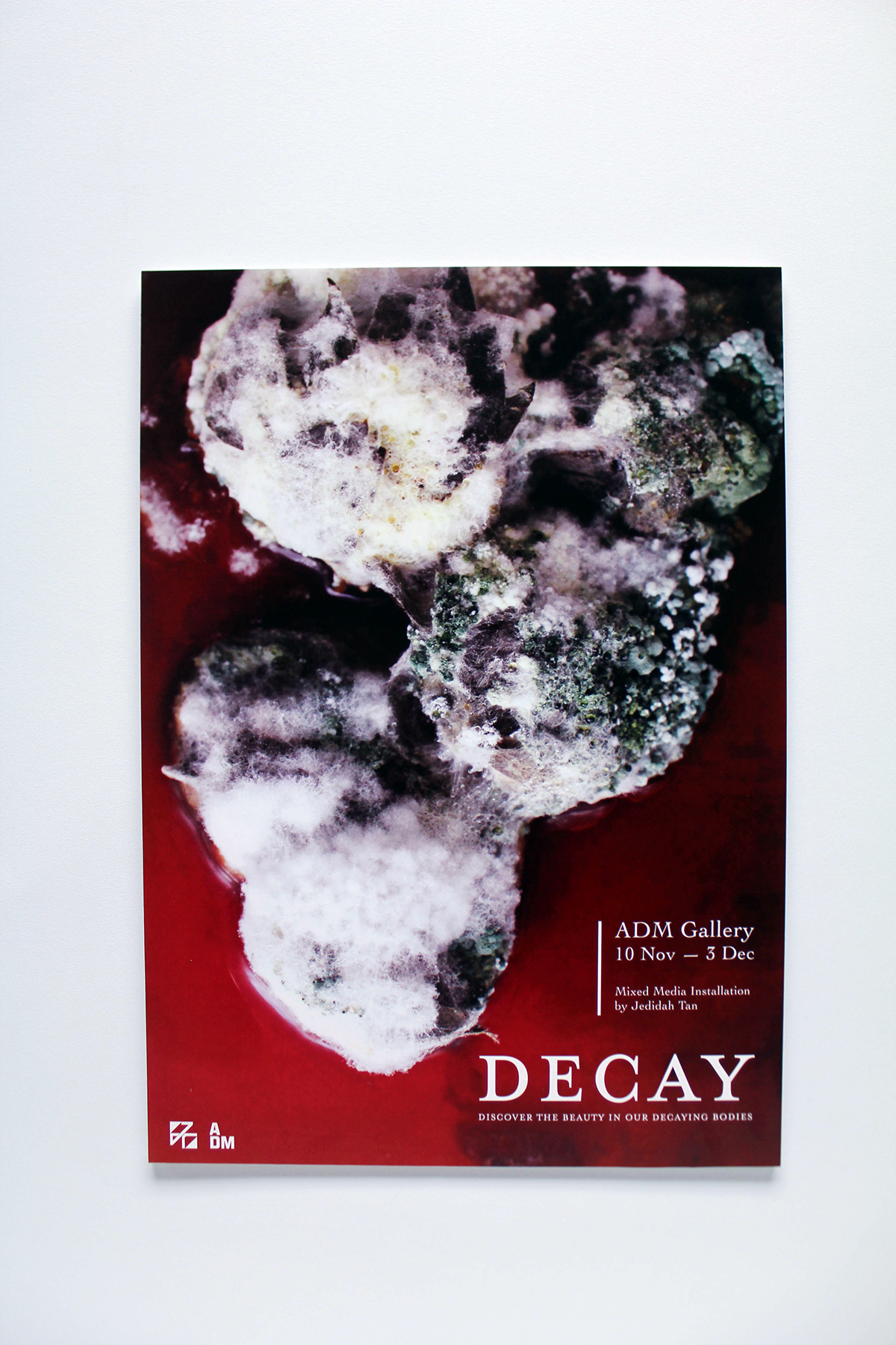 decay human anatomy strawberries bread Flowers rot mould