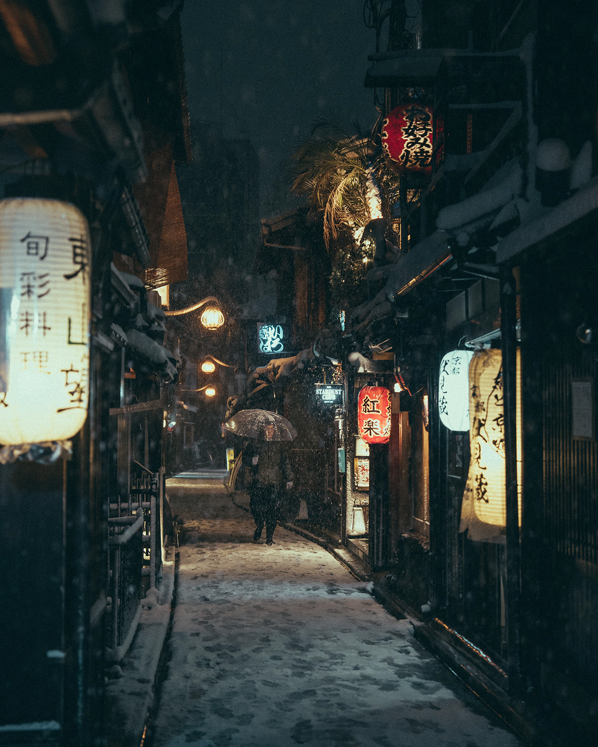 snow winter photographer lightroom photoshoot photoshop kyoto Landscape cinematic