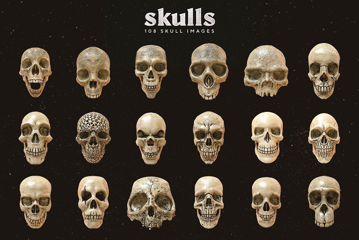 anatomy bones Cranium Halloween head hi res medical party skulls vector