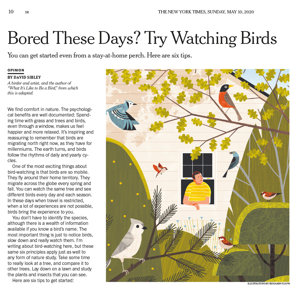 animal bird editorial Nature observation
