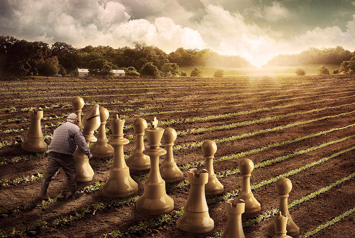 campo xadrez syngenta plantação manipulação