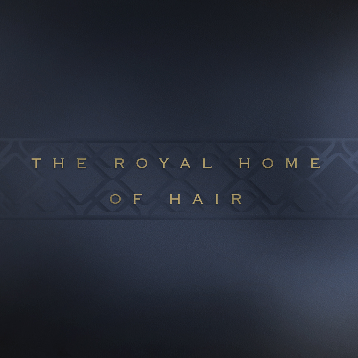brand branddesign branding  design graphic graphicdesign identity logo logodesign royal