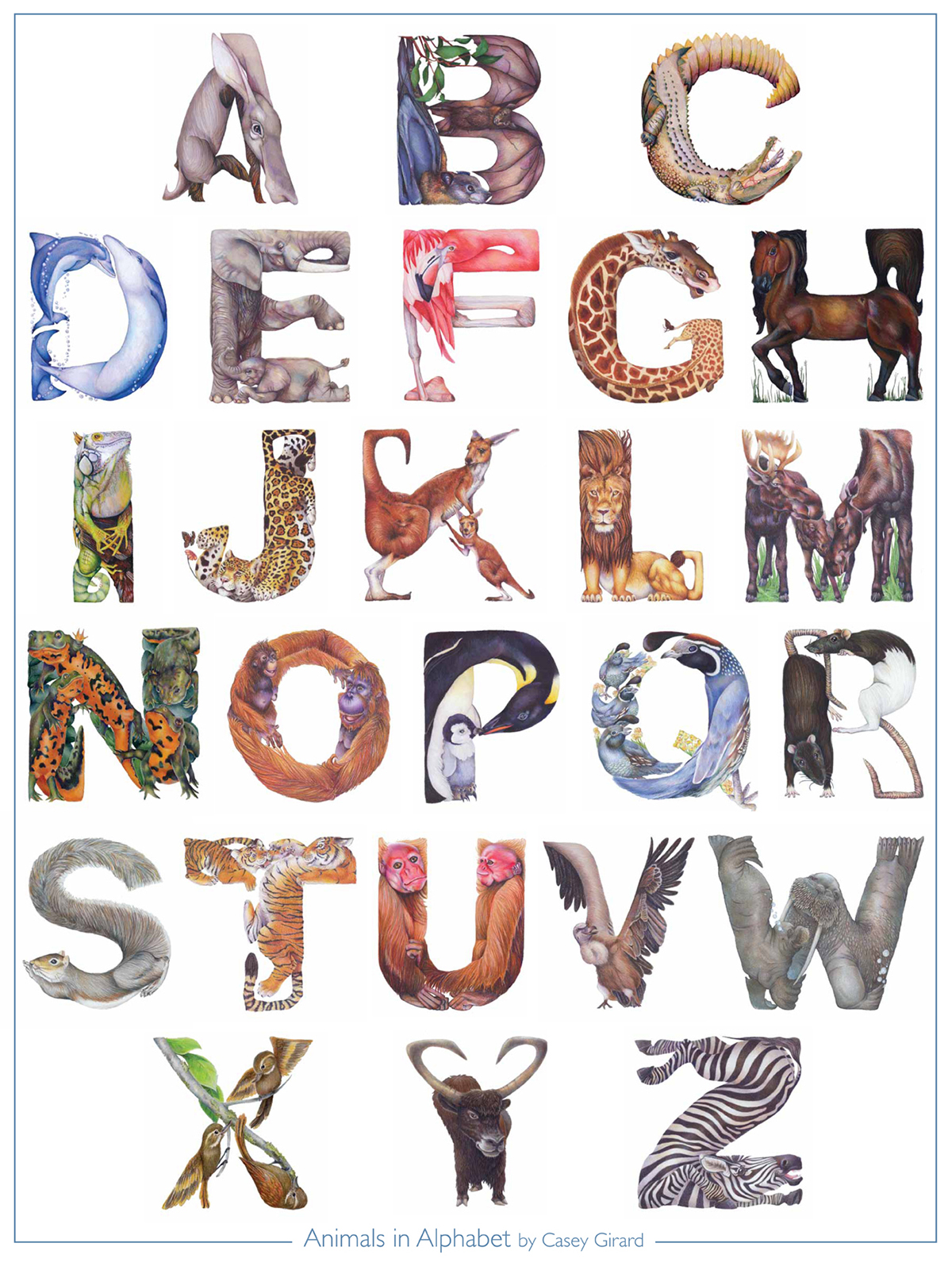 Animals in Alphabet alphabet letters zebra aardvark bat crocodile font dolphin elephant flamingo giraffe horse iguana jaguar kangaroo lion moose Newt orangutan penguin quail rat squirrel tiger uakari vulture yak walrus Casey G. Casey girard