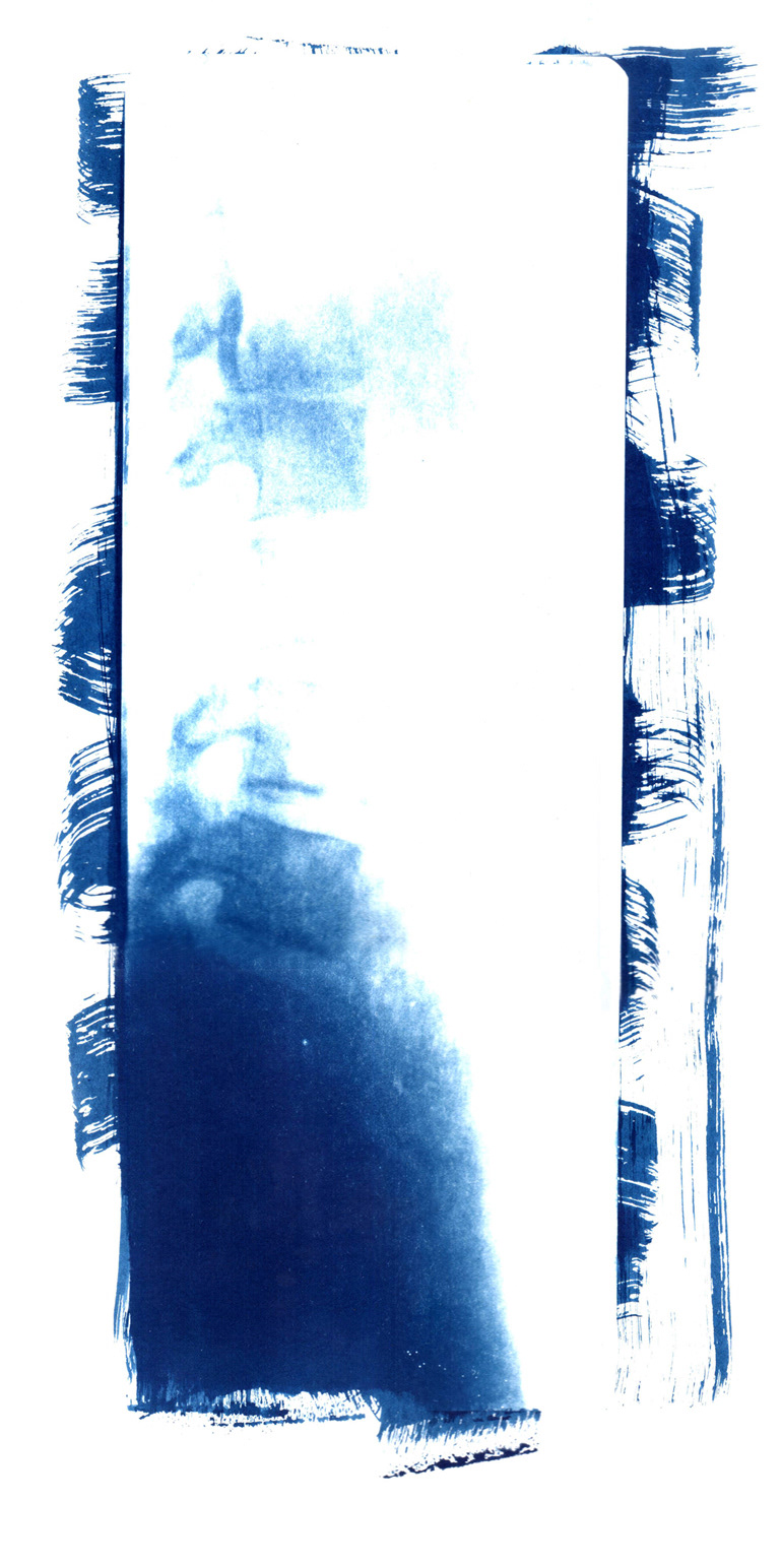 cyanotype argentotype classical fotography procedure