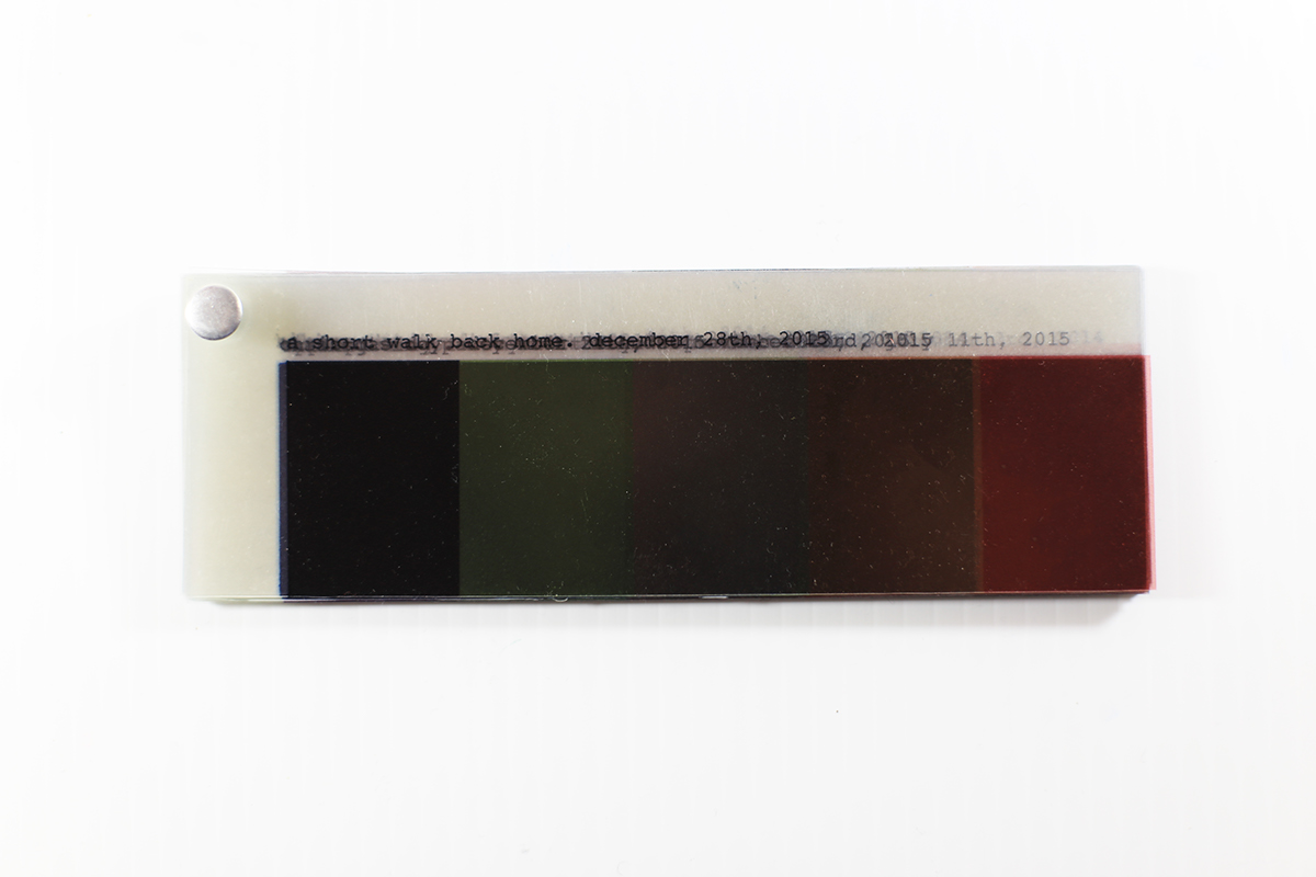 swatches pantone story relationship risd data visualization color