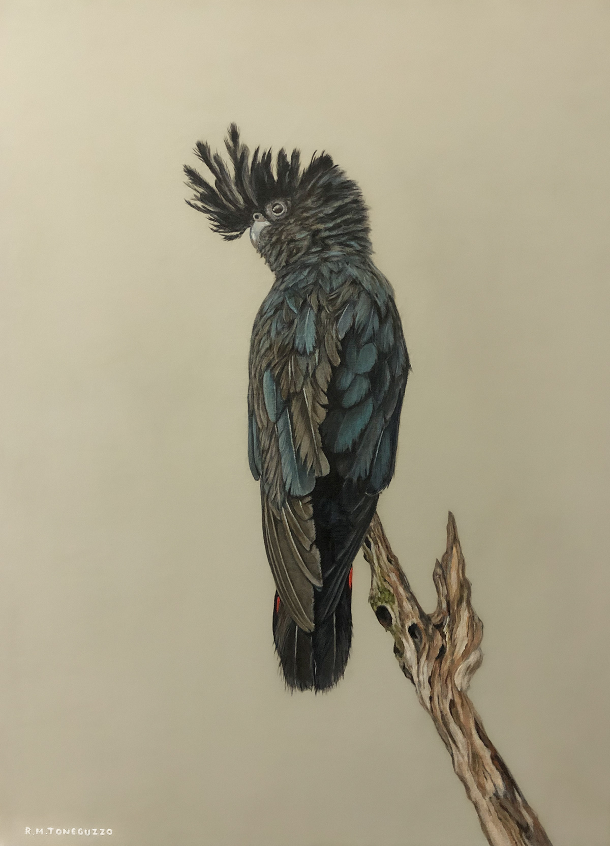 bird painting   acrylic canvas fine art Cockatoo Nature wildlife арт artwork