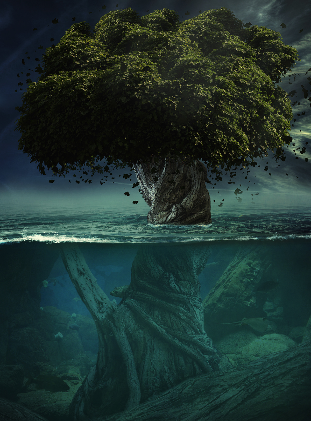 Tree  underwater water Landscape photomanipulation fish Ocean