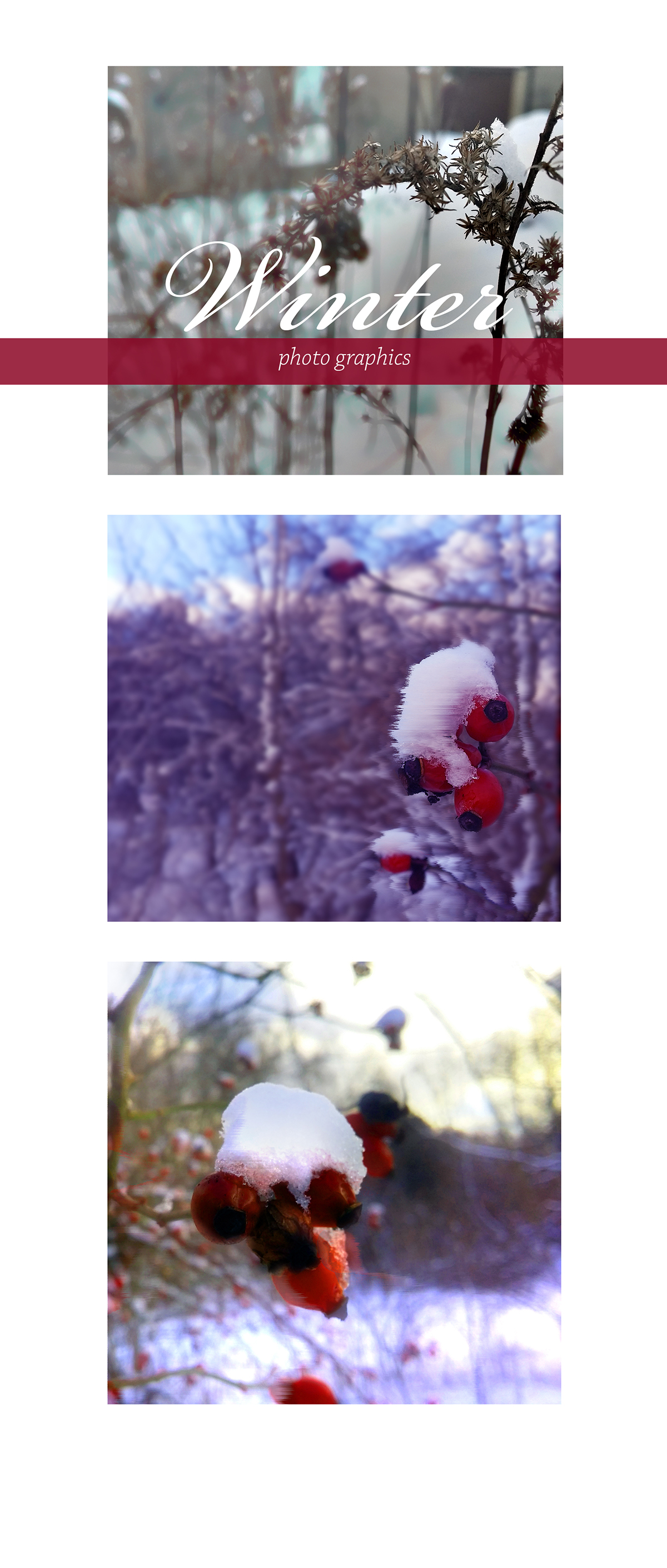 photos digitalpainting art design winter Nature