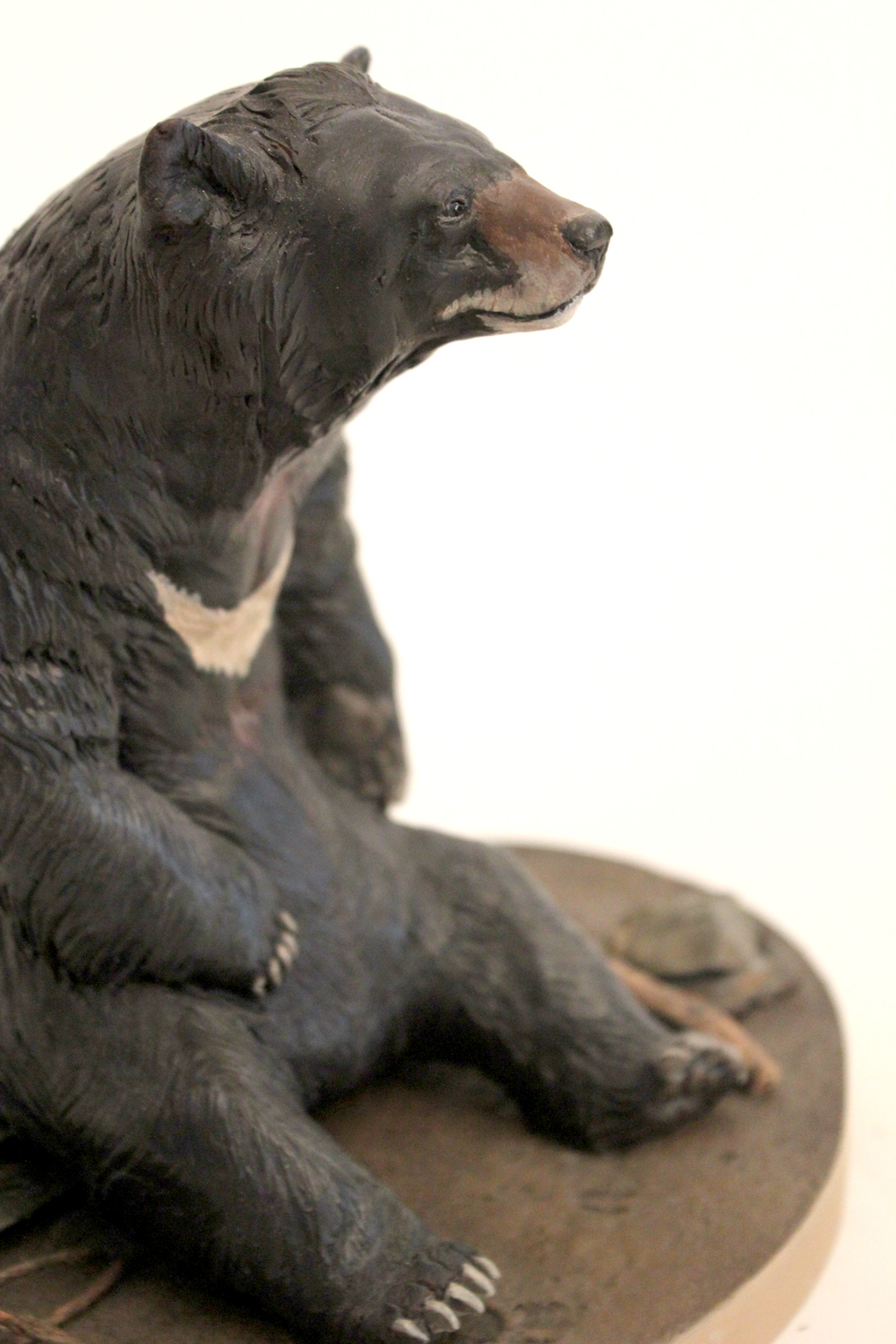 scale model 1:10 bear asian moon bear Sculpt animal