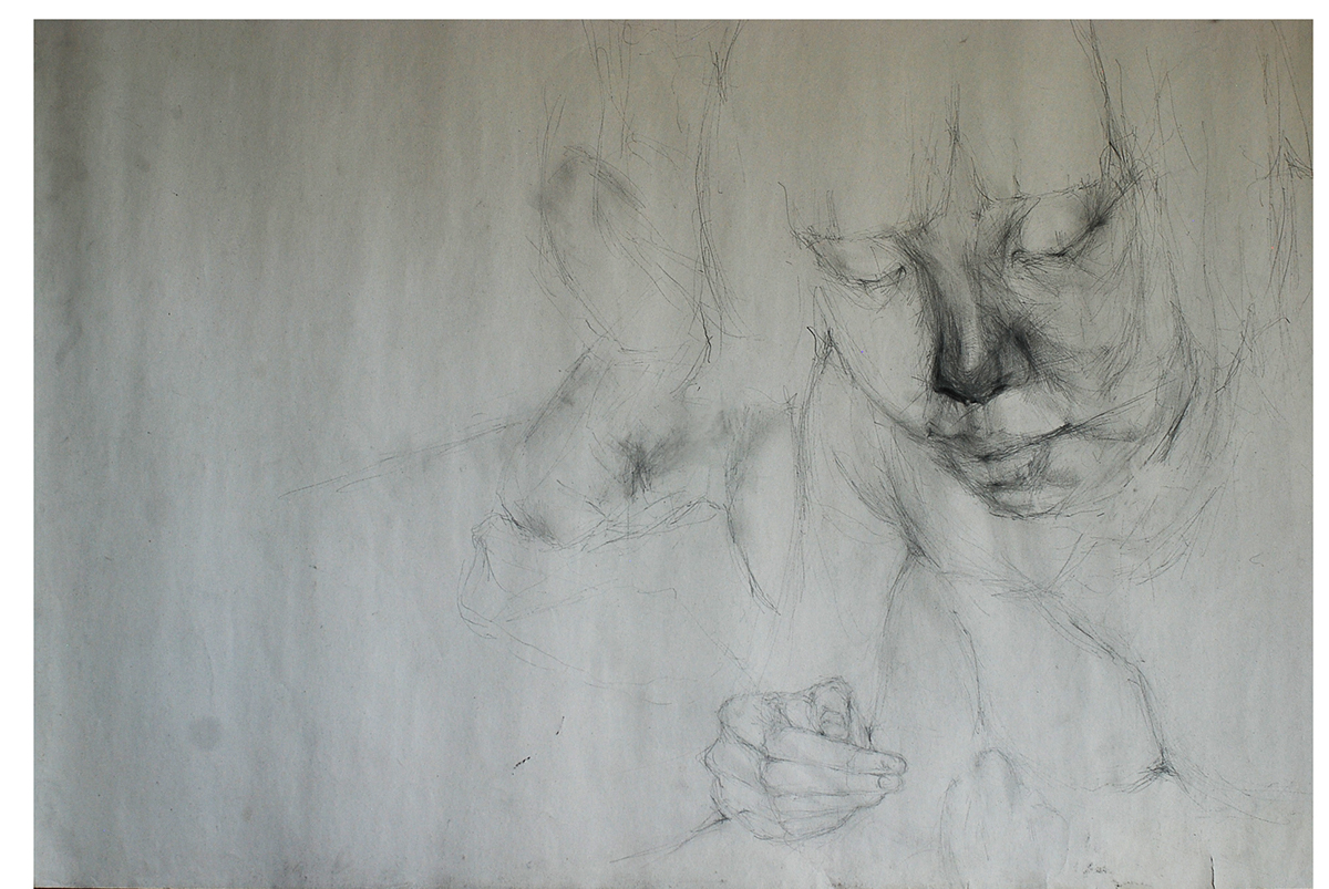 graphite charcoal drawings noses 50 series risd portraits Deterioration