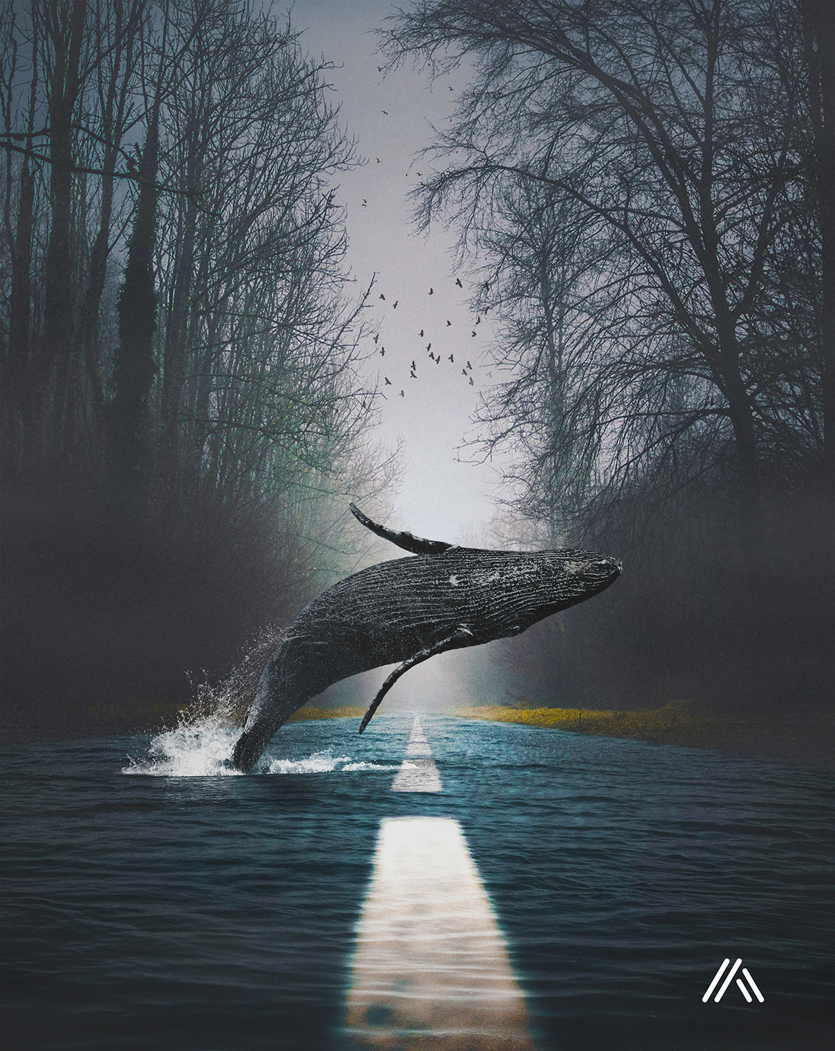 Photo Manipulation  whale dive