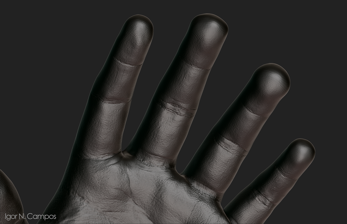 hand 3D anatomy finger Zbrush Igor Neres Campos igor traditional texture