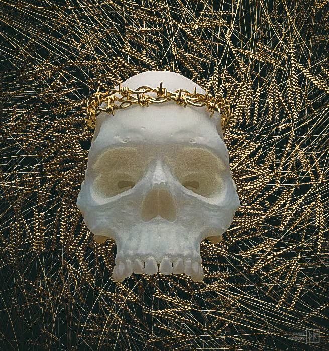 Render art print cinema4d vray cd skull 3D #pavelkazlou