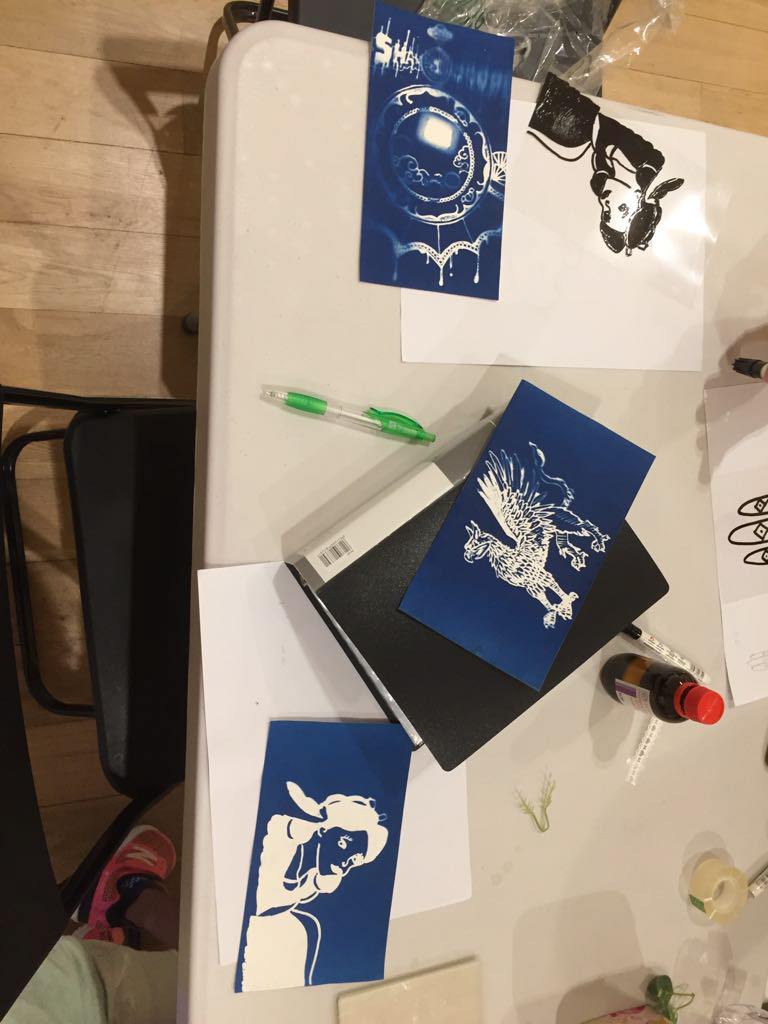 cyanotype ILLUSTRATION  branding  crafts  