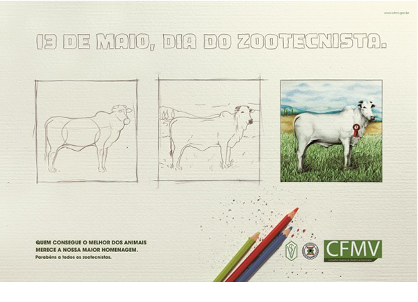 time-lapse Zootecnista stop-motion traditional illustration Drawing  Pixelation pencil color pencil alopra Alopra Estúdio  alopra studio cow hand handmade