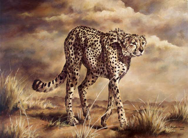 art wildlife art Paintings commisioned art artist African Art Freelance Artist
