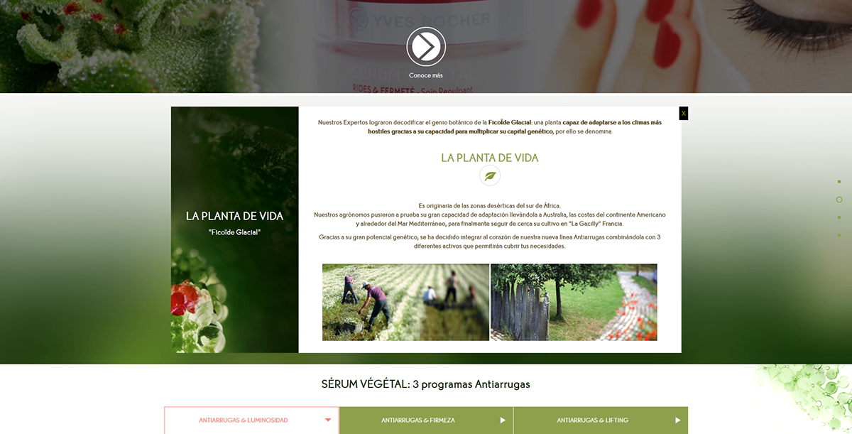 Yves Rocher Yves Rocher Mexico mexico marketing   Website Responsive web design RWB webdev