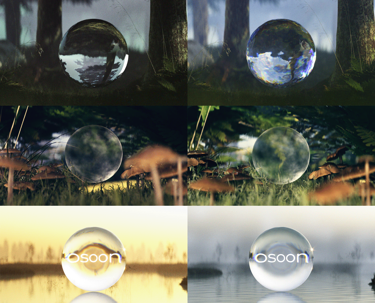 3D animation  Documentary  forest motion design motion graphics  Nature sequence titles water