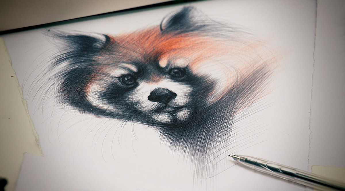monkey suricata donkey pen ballpoint hand drawn sketches yelena yefimova red panda