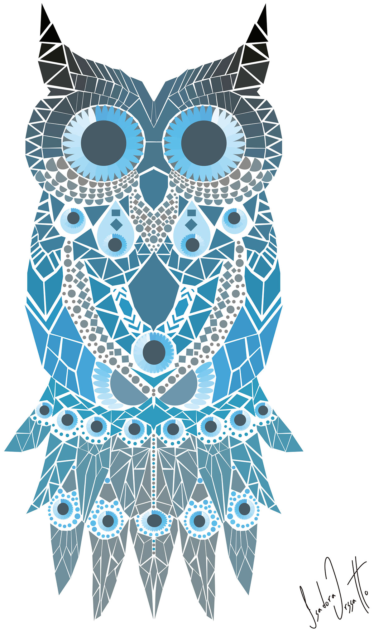 ILLUSTRATION  Illustrator owl