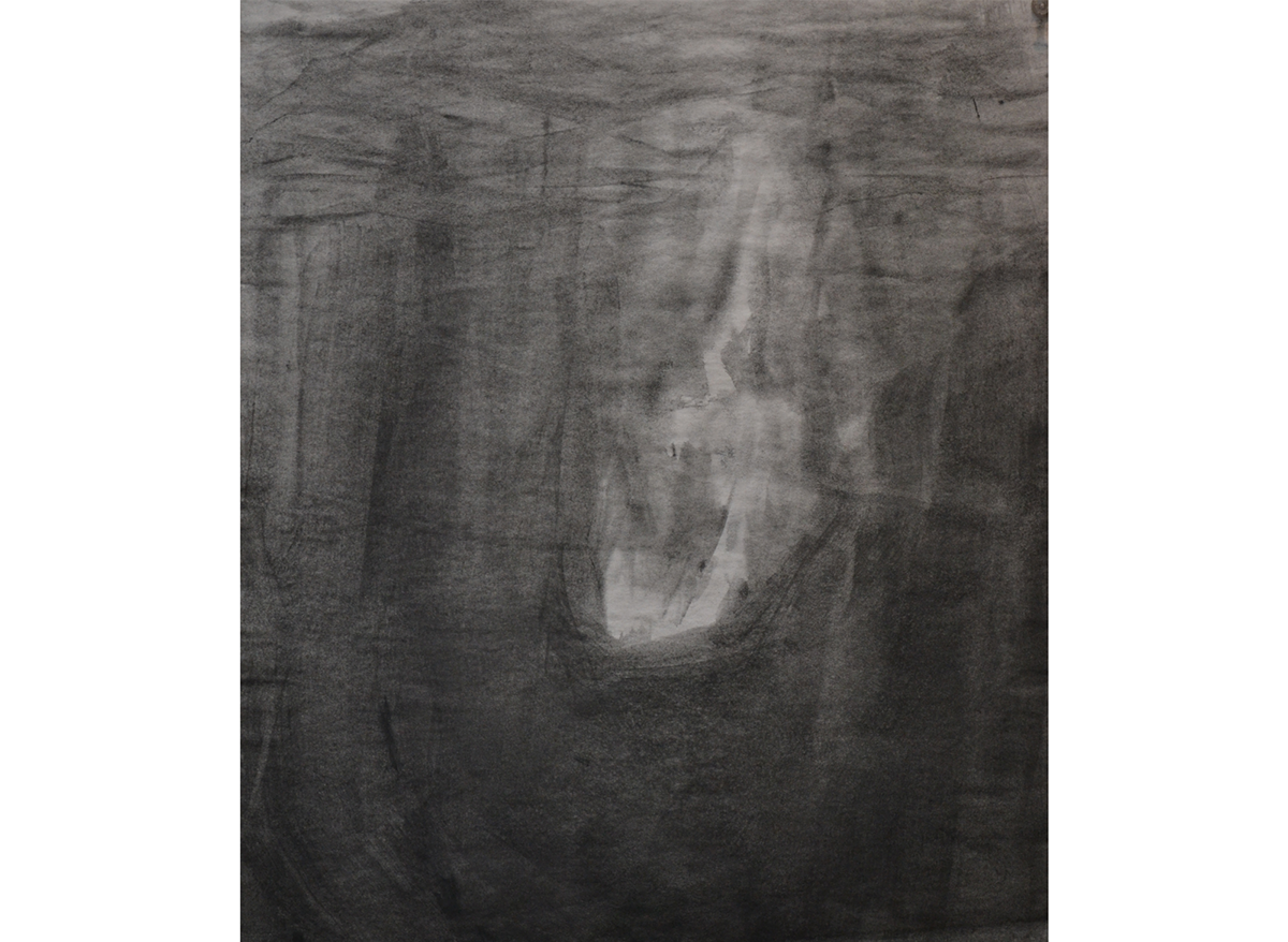 Sara K Dunn victor lara 50 series sinking risd Sensation of Sinking wet charcoal sara dunn Foundation year art
