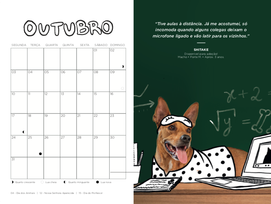 calendar Digital Art  dog editorial design  graphic design  ILLUSTRATION  Pet pet photography shelter