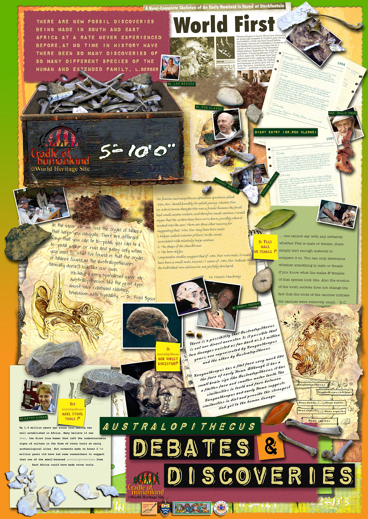 archeaology cradle of humankind educational posters World Heritage Site tools evolution environment south africa fossils animals map