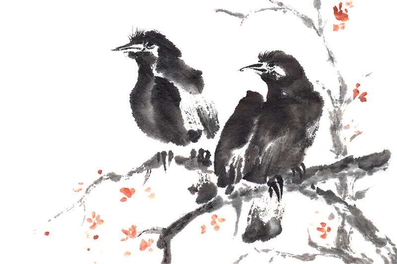 ink painting   Sumi-e japanese art brush fine bird sakura oriental