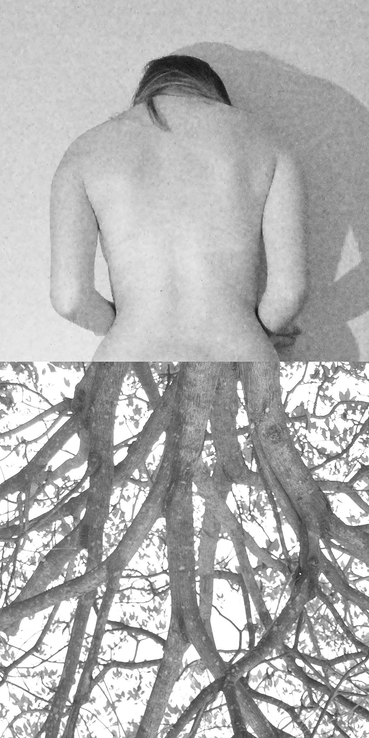 selfportrait  tree woman