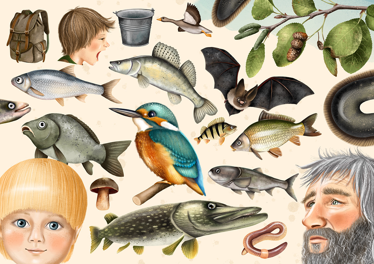 animal bird Character design  children illustration children's book Drawing  Fisherman fishing kingfisher Nature