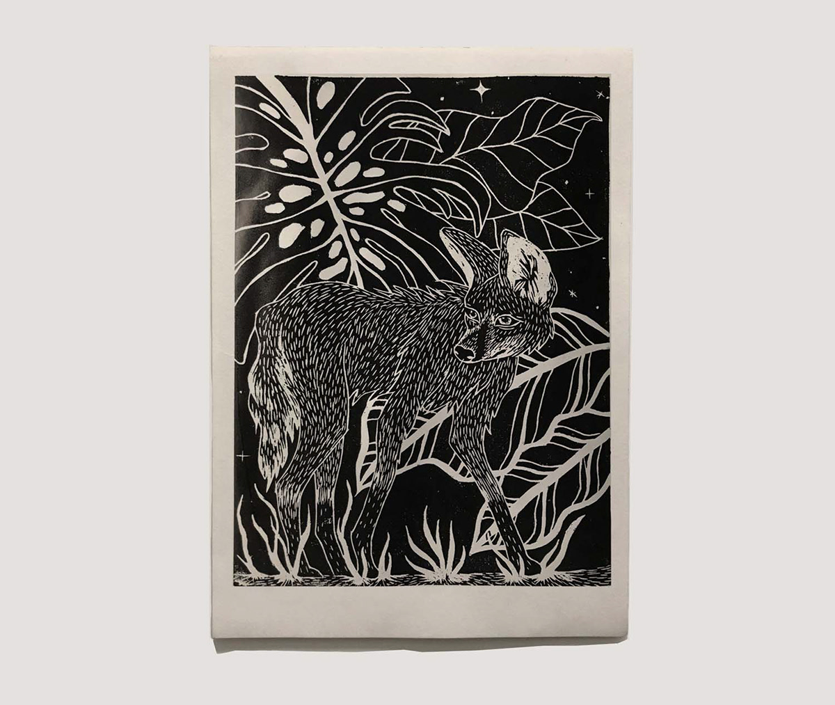 engraving grabado ilustration impresion paper printmaking wood xilografia