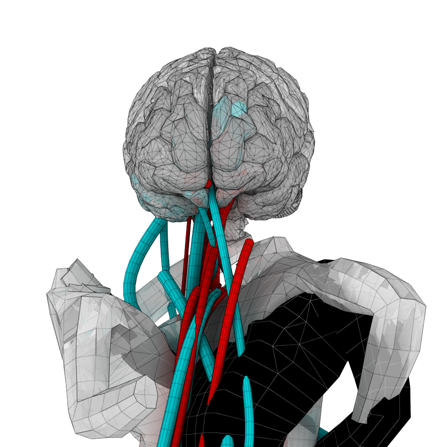 sensory motor brain motor comands bodily derived perseptions
